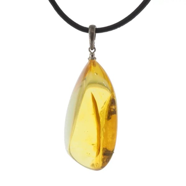 Szczątki roślinne w transparentnym bursztynie i srebro oksydowane - naszyjnik na rzemieniu