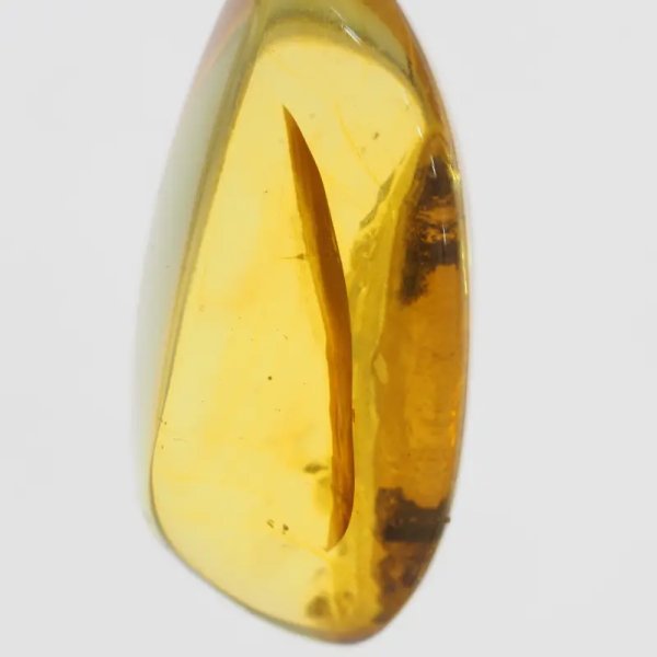 Szczątki roślinne w transparentnym bursztynie i srebro oksydowane - naszyjnik na rzemieniu