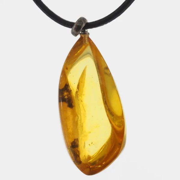 Szczątki roślinne w transparentnym bursztynie i srebro oksydowane - naszyjnik na rzemieniu