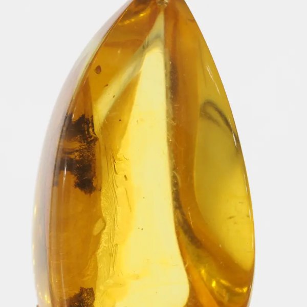 Szczątki roślinne w transparentnym bursztynie i srebro oksydowane - naszyjnik na rzemieniu