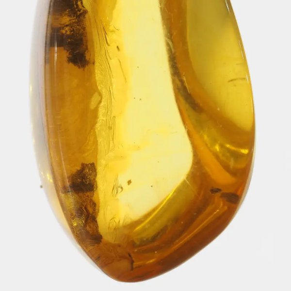 Szczątki roślinne w transparentnym bursztynie i srebro oksydowane - naszyjnik na rzemieniu