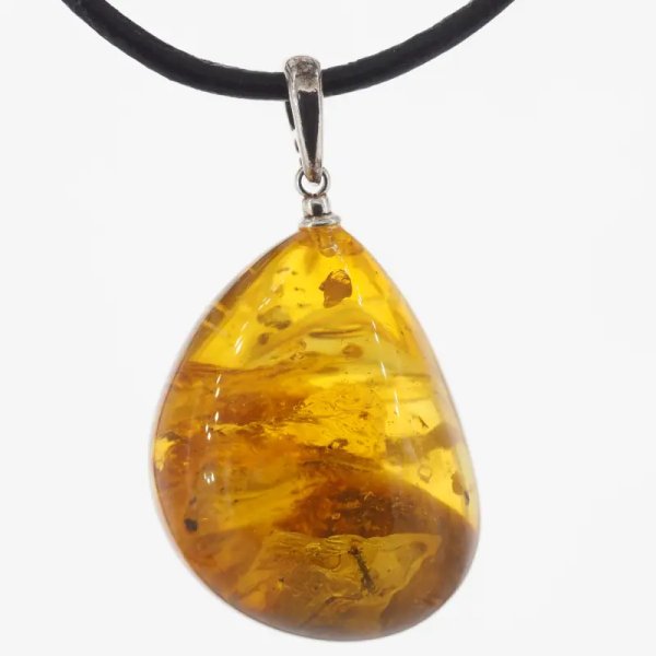 Szczątki roślinne w transparentnym bursztynie i srebro - naszyjnik na rzemieniu