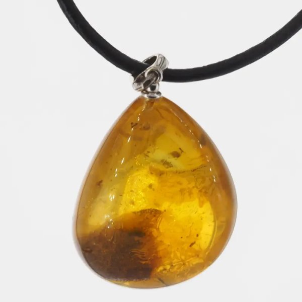 Szczątki roślinne w transparentnym bursztynie i srebro - naszyjnik na rzemieniu