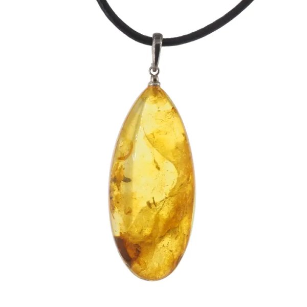 Szczątki roślinne w transparentnym bursztynie i srebro oksydowane - naszyjnik na rzemieniu