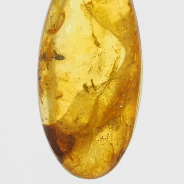 Szczątki roślinne w transparentnym bursztynie i srebro oksydowane - naszyjnik na rzemieniu