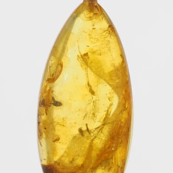 Szczątki roślinne w transparentnym bursztynie i srebro oksydowane - naszyjnik na rzemieniu