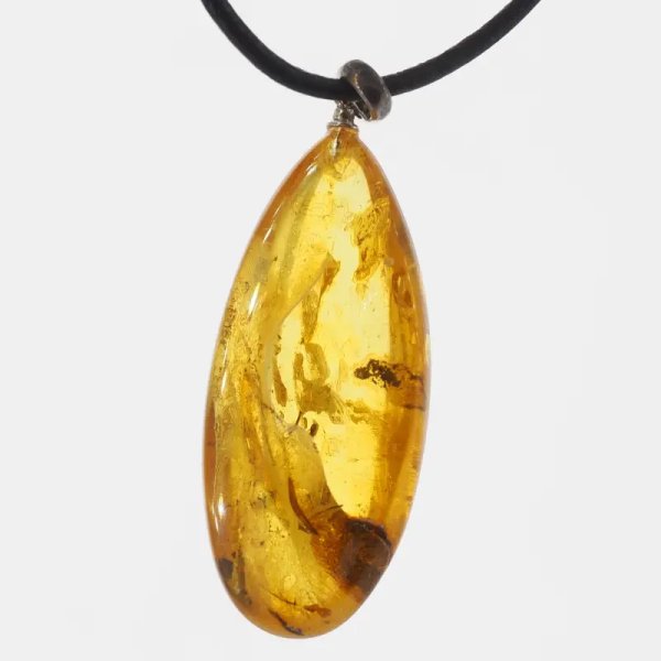 Szczątki roślinne w transparentnym bursztynie i srebro oksydowane - naszyjnik na rzemieniu