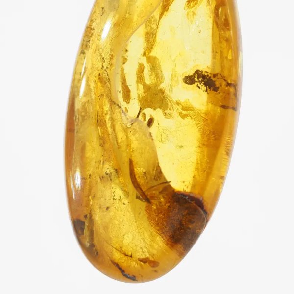 Szczątki roślinne w transparentnym bursztynie i srebro oksydowane - naszyjnik na rzemieniu