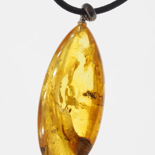 Szczątki roślinne w transparentnym bursztynie i srebro oksydowane - naszyjnik na rzemieniu