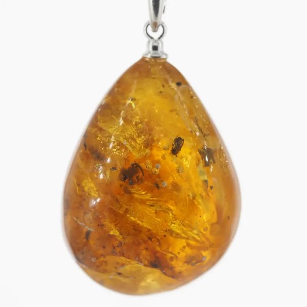 Szczątki roślinne w transparentnym bursztynie i srebro - naszyjnik na rzemieniu