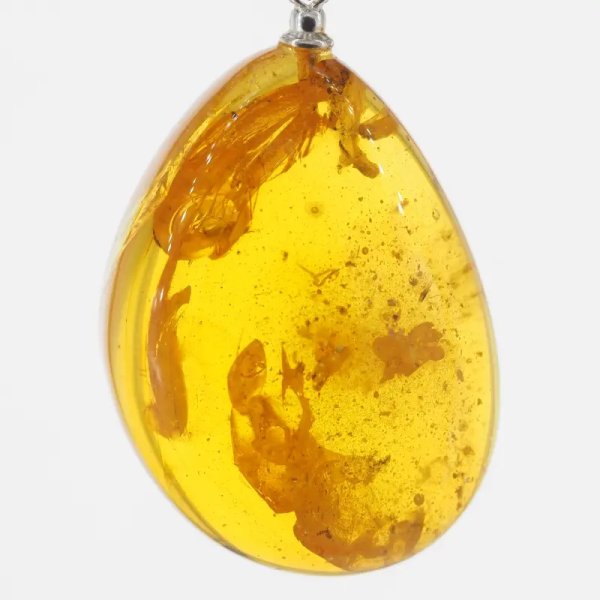 Szczątki roślinne w transparentnym bursztynie i srebro - naszyjnik na rzemieniu