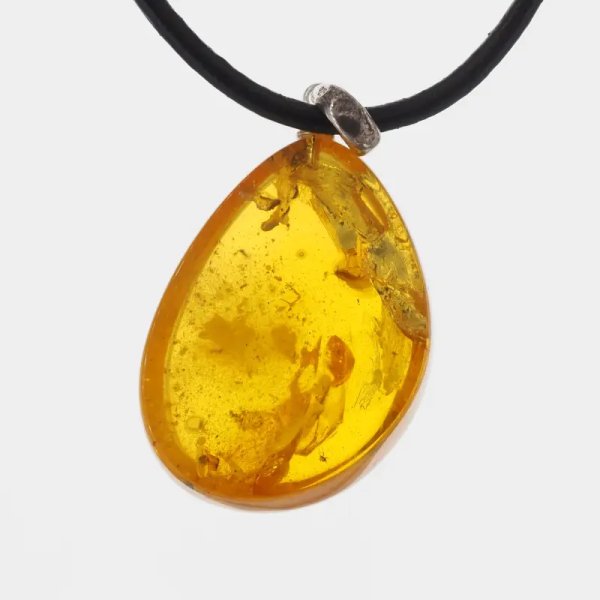 Szczątki roślinne w transparentnym bursztynie i srebro - naszyjnik na rzemieniu