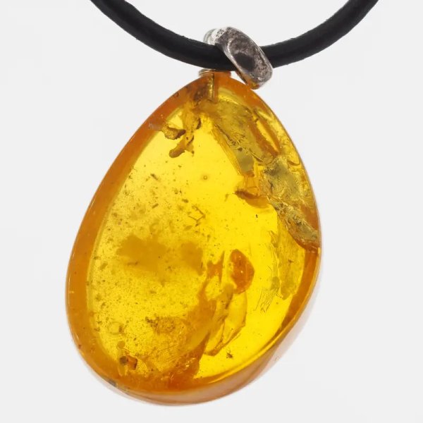 Szczątki roślinne w transparentnym bursztynie i srebro - naszyjnik na rzemieniu