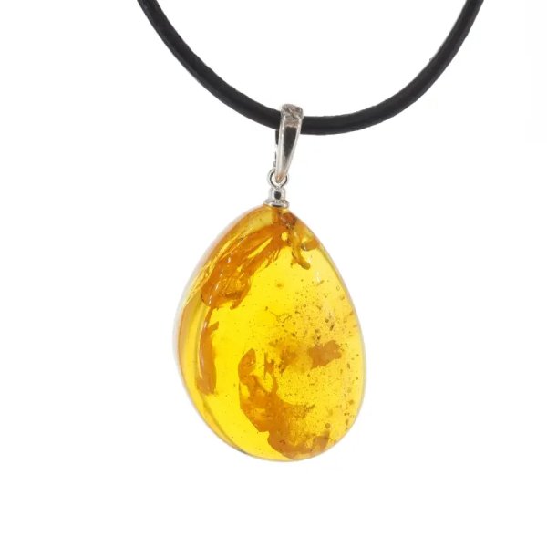 Szczątki roślinne w transparentnym bursztynie i srebro - naszyjnik na rzemieniu