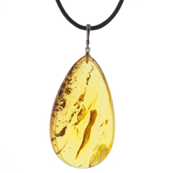 Szczątki organiczne w transparentnym bursztynie i srebro - naszyjnik na rzemieniu