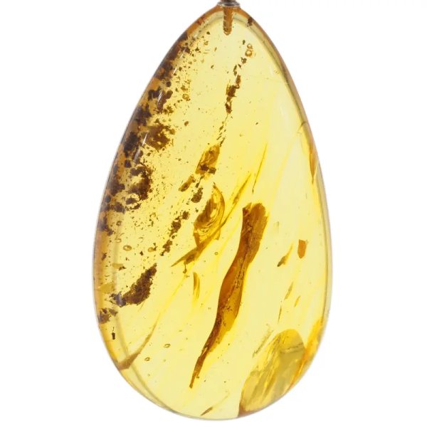 Szczątki organiczne w transparentnym bursztynie i srebro - naszyjnik na rzemieniu