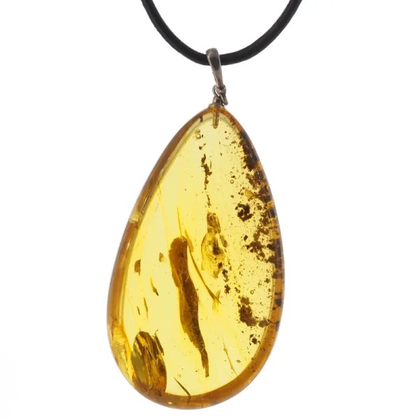 Szczątki organiczne w transparentnym bursztynie i srebro - naszyjnik na rzemieniu