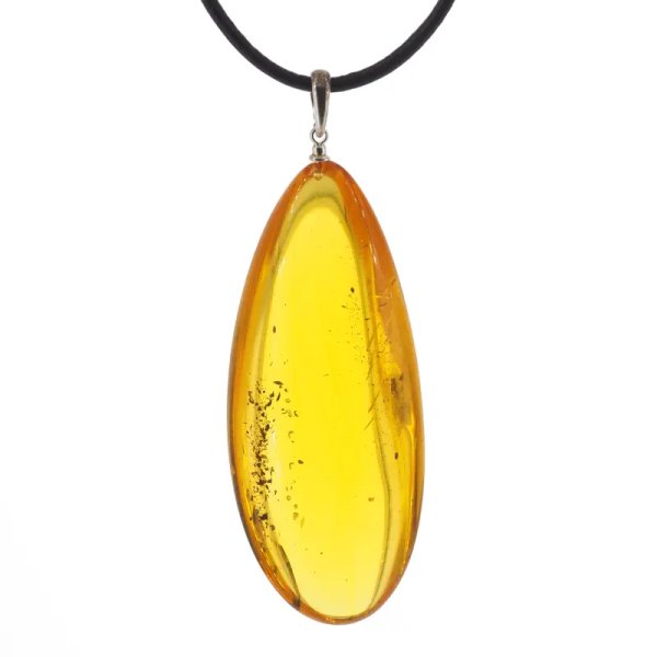 Szczątki organiczne w transparentnym bursztynie i srebro - naszyjnik na rzemieniu