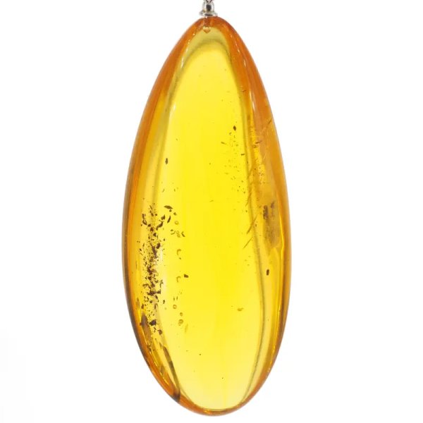 Szczątki organiczne w transparentnym bursztynie i srebro - naszyjnik na rzemieniu