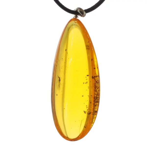 Szczątki organiczne w transparentnym bursztynie i srebro - naszyjnik na rzemieniu