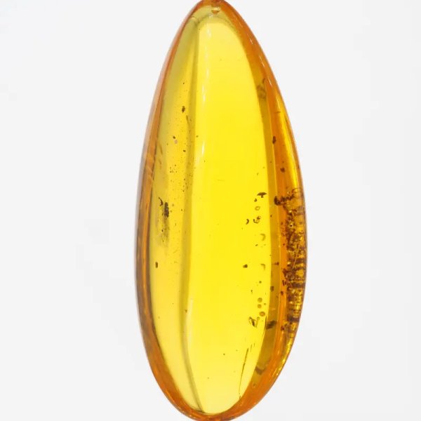 Szczątki organiczne w transparentnym bursztynie i srebro - naszyjnik na rzemieniu