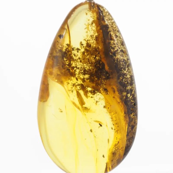 Szczątki organiczne w transparentnym bursztynie i srebro - naszyjnik na rzemieniu