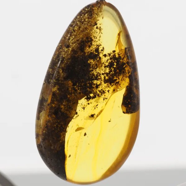 Szczątki organiczne w transparentnym bursztynie i srebro - naszyjnik na rzemieniu