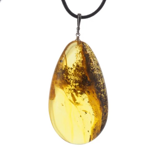 Szczątki organiczne w transparentnym bursztynie i srebro - naszyjnik na rzemieniu