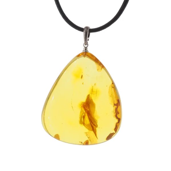 Szczątki roślinne w transparentnym bursztynie i srebro - naszyjnik na rzemieniu