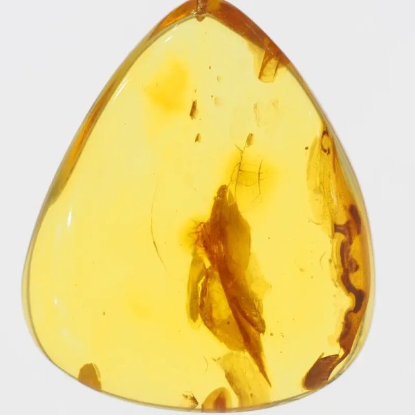 Szczątki roślinne w transparentnym bursztynie i srebro - naszyjnik na rzemieniu