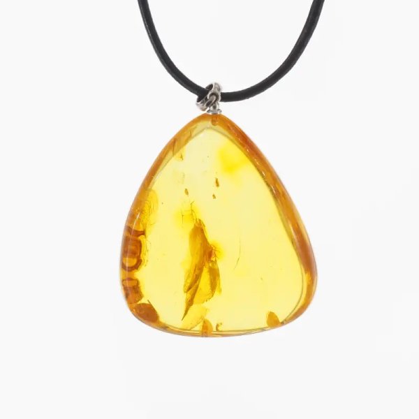 Szczątki roślinne w transparentnym bursztynie i srebro - naszyjnik na rzemieniu