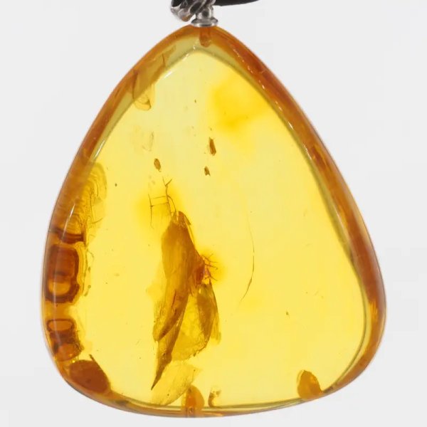 Szczątki roślinne w transparentnym bursztynie i srebro - naszyjnik na rzemieniu