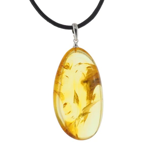 Szczątki roślinne w transparentnym bursztynie i srebro - naszyjnik na rzemieniu