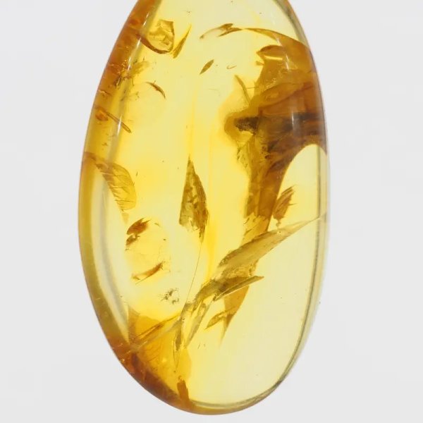 Szczątki roślinne w transparentnym bursztynie i srebro - naszyjnik na rzemieniu