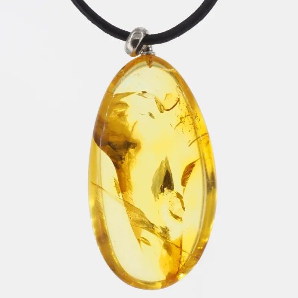 Szczątki roślinne w transparentnym bursztynie i srebro - naszyjnik na rzemieniu