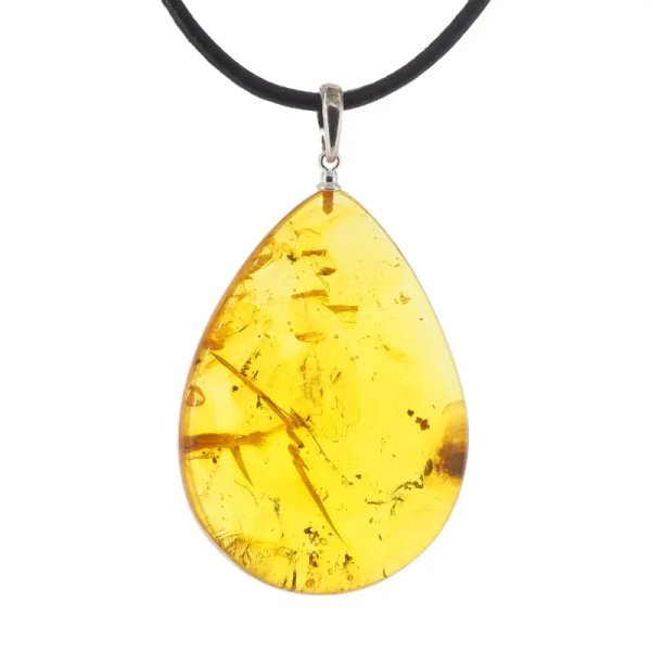 Szczątki roślinne w transparentnym bursztynie i srebro - naszyjnik na rzemieniu