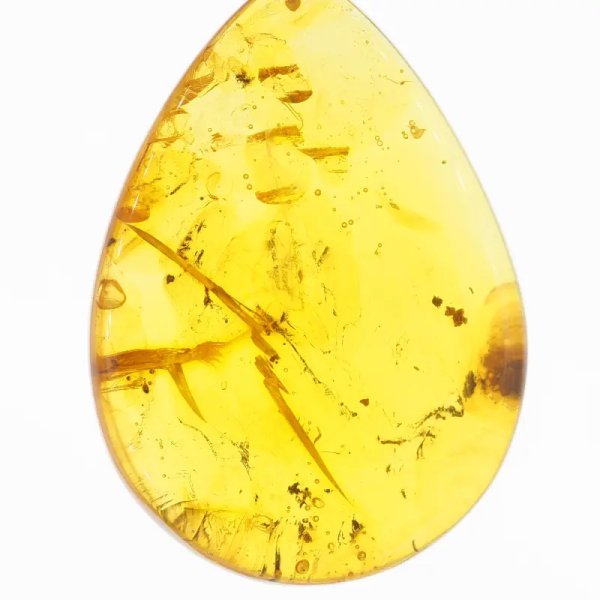 Szczątki roślinne w transparentnym bursztynie i srebro - naszyjnik na rzemieniu