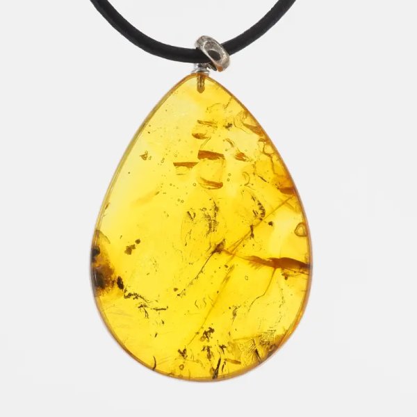 Szczątki roślinne w transparentnym bursztynie i srebro - naszyjnik na rzemieniu