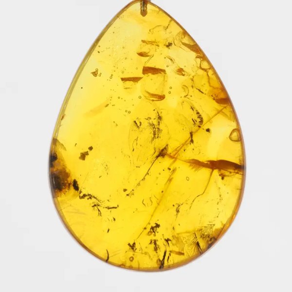 Szczątki roślinne w transparentnym bursztynie i srebro - naszyjnik na rzemieniu