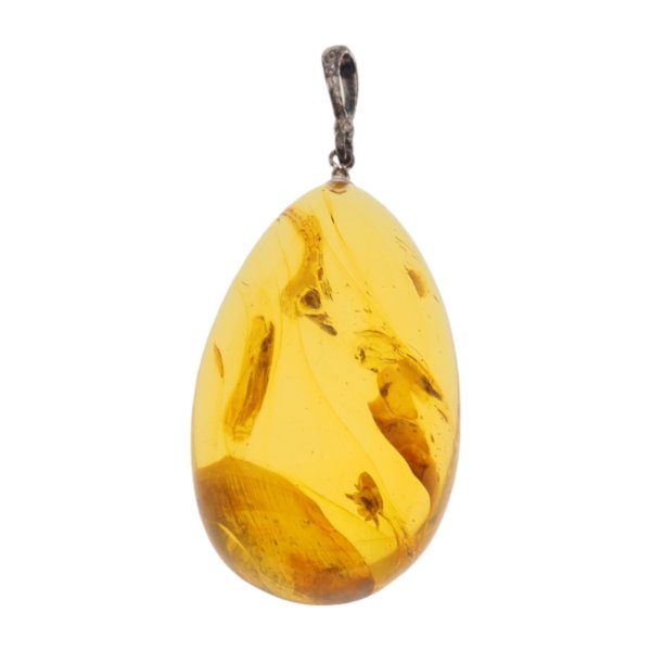 Bursztyn z inkluzją roślinną i srebro oksydowane - zawieszka