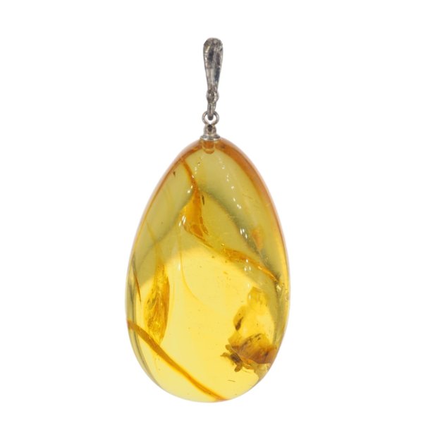 Bursztyn z inkluzją roślinną i srebro oksydowane - zawieszka