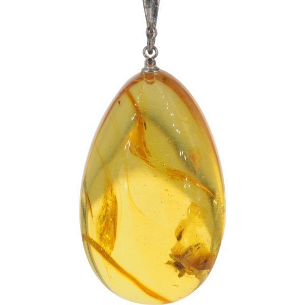 Bursztyn z inkluzją roślinną i srebro oksydowane - zawieszka