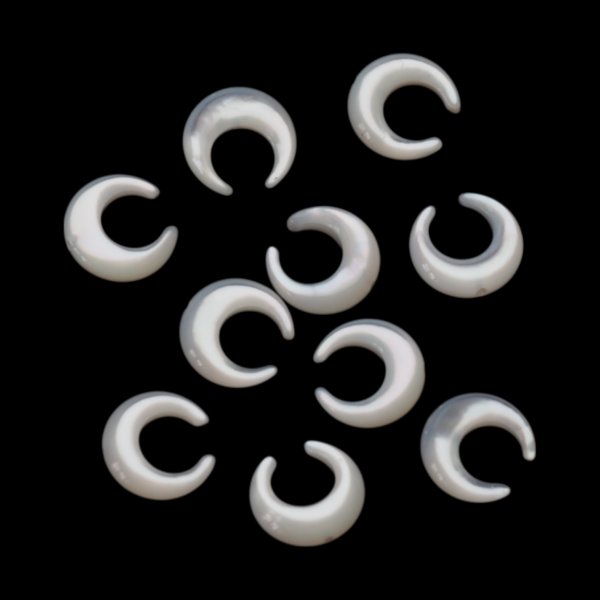 Muszla biała - polerowany księżyc 8 mm (sztuka)