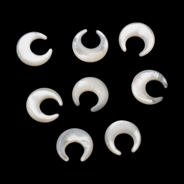 Muszla biała - polerowany księżyc 10 mm (sztuka)