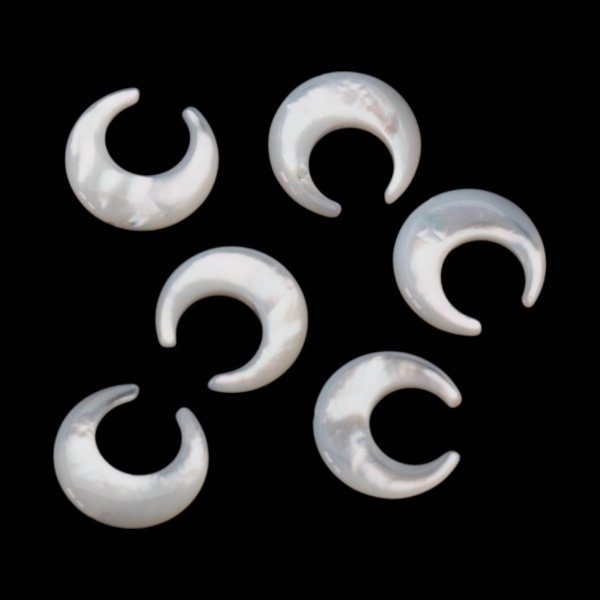 Muszla biała - polerowany księżyc 13 mm (sztuka)