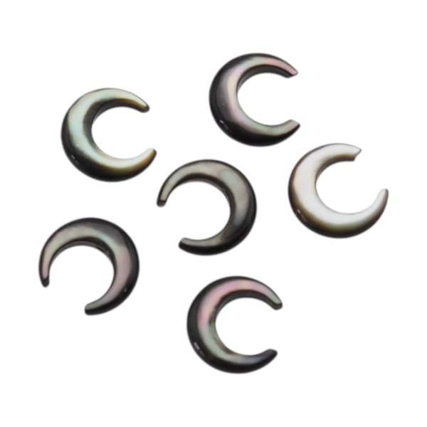 Muszla czarna - polerowany księżyc 10 mm (sztuka)