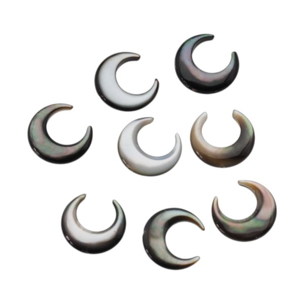 Muszla czarna - polerowany księżyc 13 mm (sztuka)