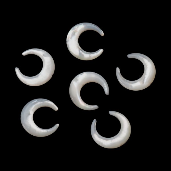 Muszla biała - polerowany księżyc 15 mm (sztuka)