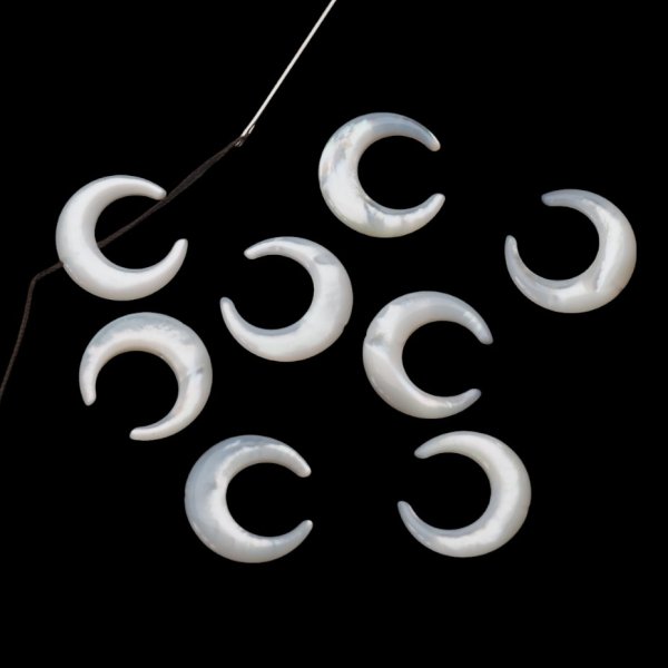 Muszla biała - polerowany księżyc 15 mm (sztuka)