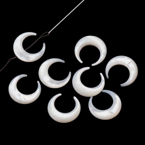 Muszla biała - polerowany księżyc 20 mm (sztuka)